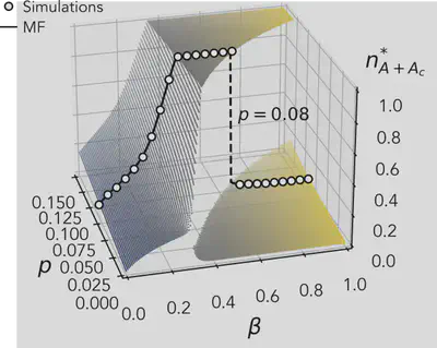 Mean field phase diagram of the NG with committed minorities on 2-uniform hypergraphs. An example curve with $p=0.08$ is shown with a solid black line. The associated results of stochastic simulations (circles) for homogeneous systems of $1000$ agents are shown for comparison.