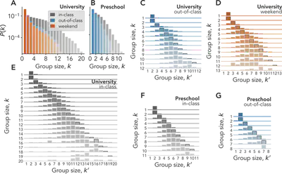  Group size distributions (*A*-*B*) and node transition matrices (*C*-*G*) for University and Preschool interactions that take place in-class, out-of-class, or during the weekend. In (*C*-*G*) the elements of each matrix represent the conditional probability $P(n_i^{t+1}=k^{\prime}|n_i^t=k)$ of finding a node $i$ in a group of size $k^{\prime}$ at time $t+1$ given that at time $t$ it belonged to a different group of size $k$. Probability values are given by the height of each element (normalized by row). Note that the scales on the y-axes--one for each matrix row--vary for visualization purposes.