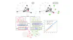 Network dynamics of innovation processes