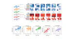 Creative Connectivity Project - A network based approach to understand correlations between interdisciplinary group dynamics and creative performance