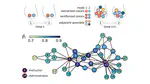 Interactive discovery processes on complex networks