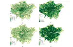 London in lockdown: Mobility in the Pandemic City