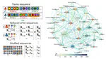 Social interactions affect discovery processes