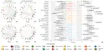 The networks of ingredient combination in cuisines around the world