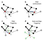 The dynamics of higher-order novelties