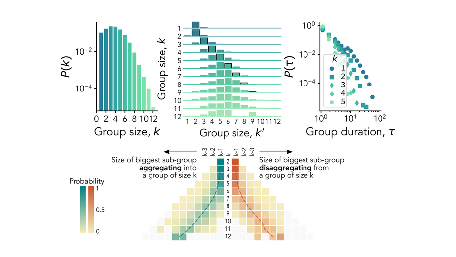 The temporal dynamics of group interactions in higher-order social networks