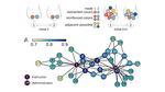 Interactive discovery processes on complex networks